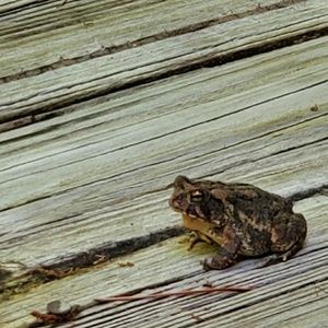 Meet your Posher, Jon